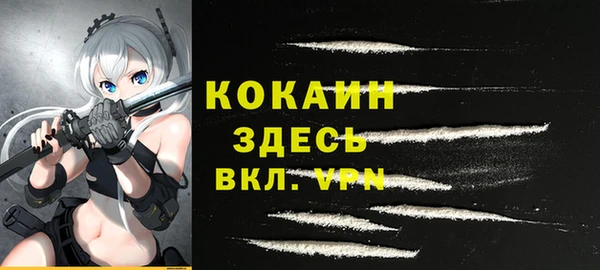 молекула духа Осташков