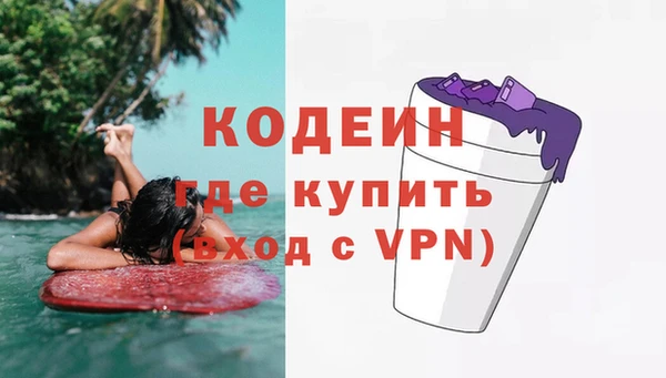 молекула духа Осташков