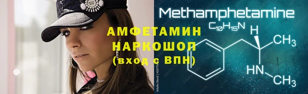 молекула духа Осташков