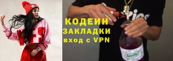 молекула духа Осташков