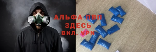 молекула духа Осташков