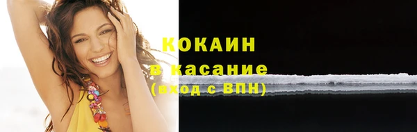 молекула духа Осташков