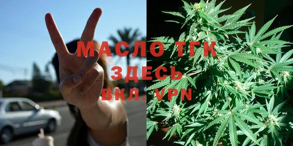 хмурый Осинники