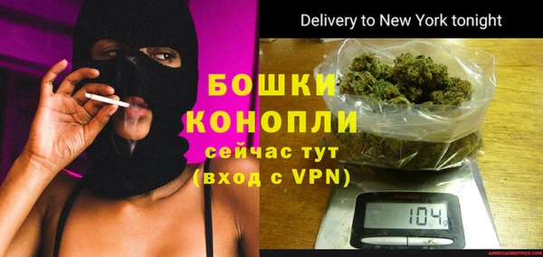 хмурый Осинники