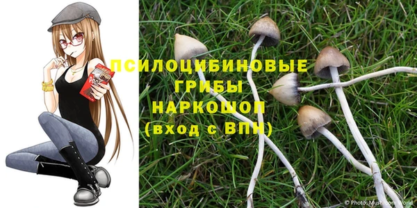 соль ск Билибино
