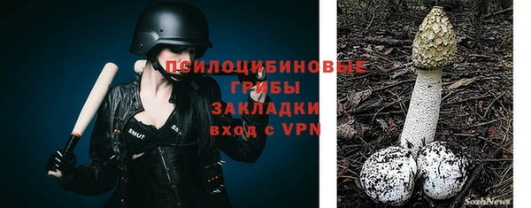 хмурый Осинники