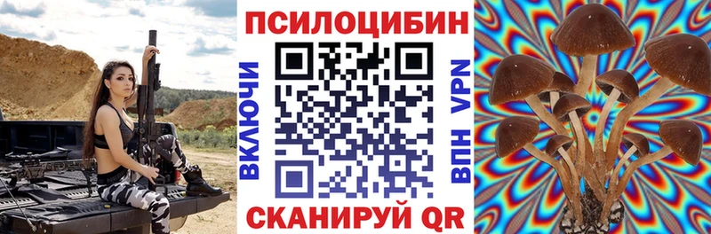 Галлюциногенные грибы Psilocybine cubensis  Щёкино 
